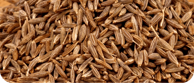 Cumin Seeds