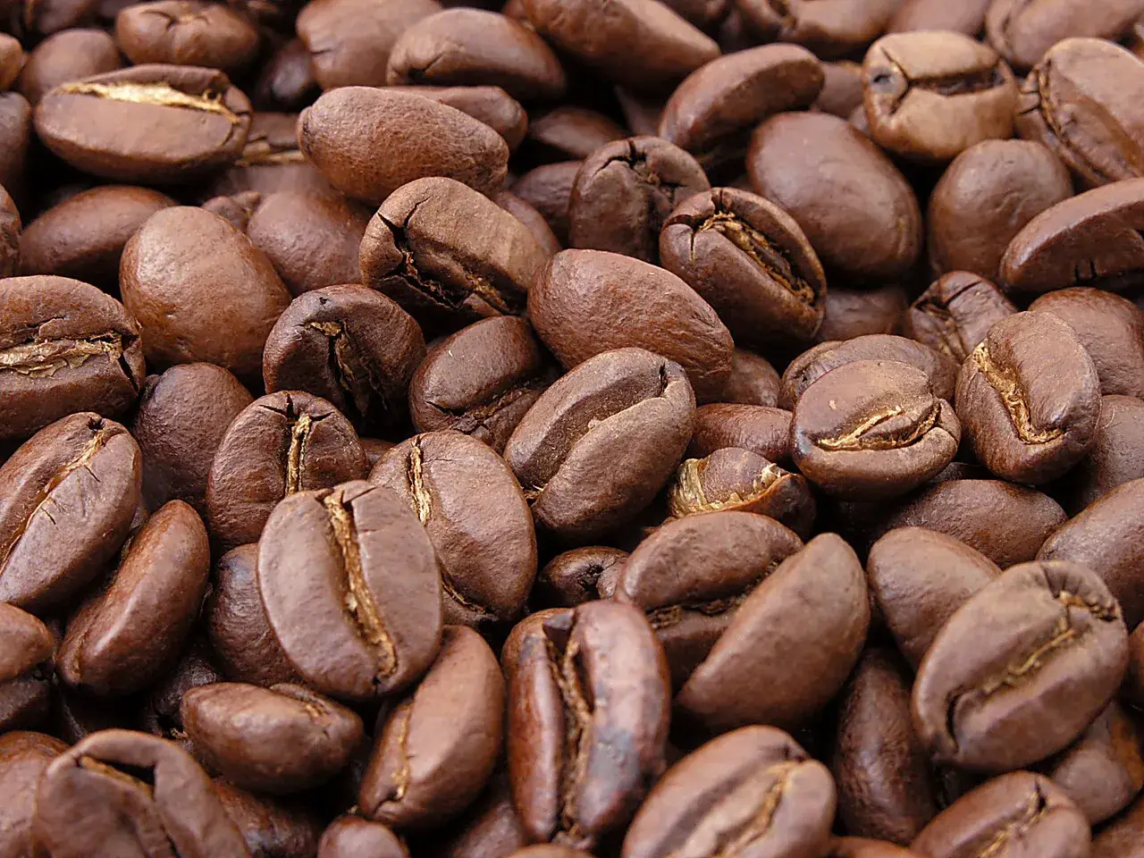 A pile of freshly roasted brown coffee beans