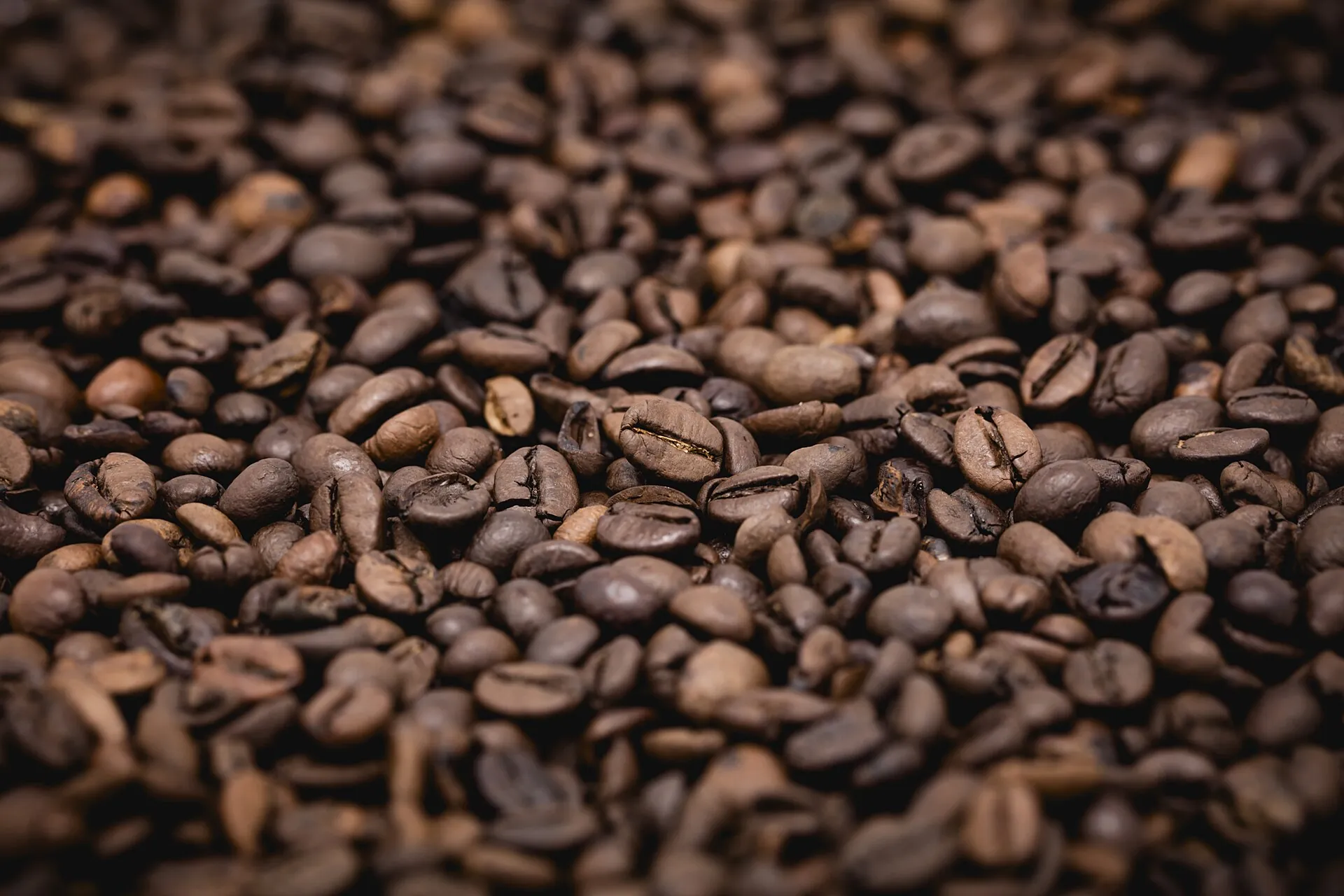 Close-up of roasted coffee beans