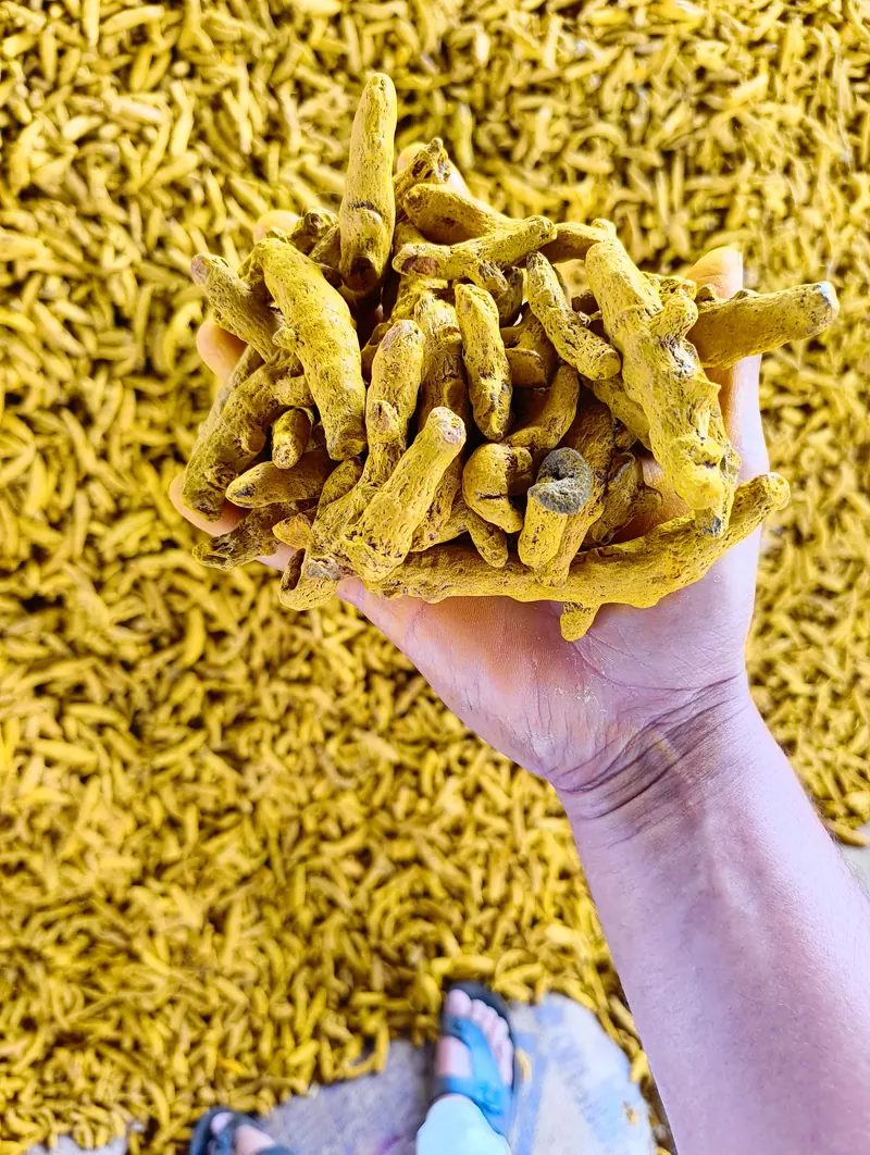 Organic Turmeric